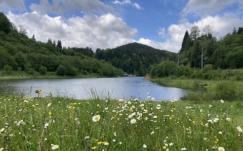 Projekttage der 4a und 4b in Mariazell