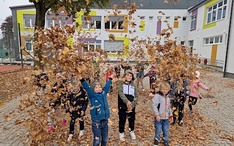 Lachend durch den Bl&auml;tterregen!