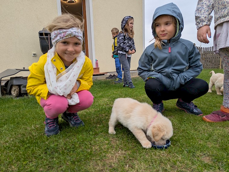 Ein tierischer Wandertag der 1c